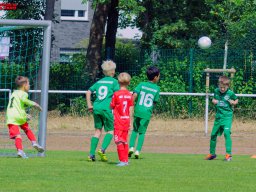 Hillen Cup 2024